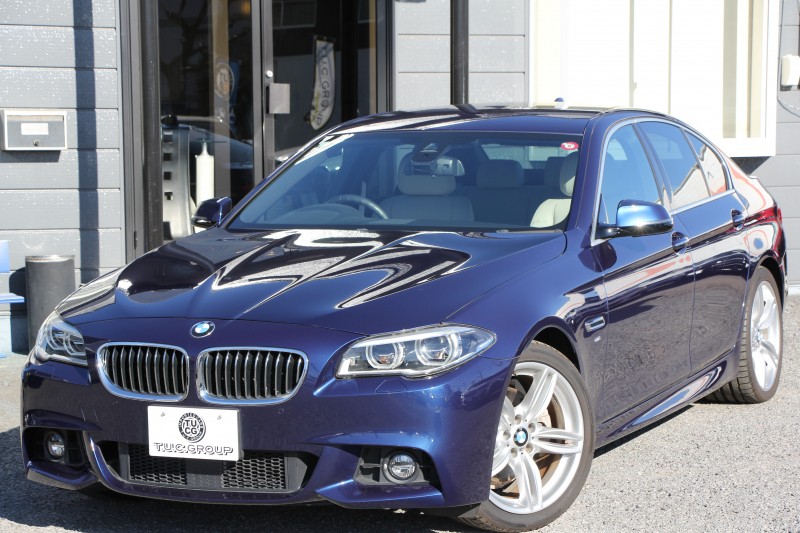 BMW 5シリーズ 523d ｾﾚﾌﾞﾚｰｼｮﾝｴﾃﾞｨｼｮﾝﾊﾞﾛﾝ 限定車 最終ﾓﾃﾞﾙ ｵｲｽﾀｰﾚｻﾞｰ 液晶ﾒｰﾀｰ LEDﾍｯﾄﾞﾗｲﾄ 19AW ｿﾌﾄｸﾛｰｽﾞﾄﾞｱ 電動ﾄﾗﾝｸ 追従ACC ﾚｰﾝﾁｪﾝｼﾞ警告 衝突軽減ﾌﾞﾚｰｷ iﾄﾞﾗｲﾌﾞHDDﾅﾋﾞ地ﾃﾞｼﾞTV Bｶﾒﾗ Mｽﾎﾟｰﾂｴｱﾛ 2年保証