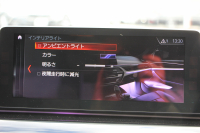 BMW 5シリーズ 530i ｴﾃﾞｨｼｮﾝﾐｯｼｮﾝｲﾝﾎﾟｯｼﾌﾞﾙ 特別仕様車 252馬力 ﾅｲﾄﾌﾞﾙｰﾚｻﾞｰ ｱﾀﾞﾌﾟﾃｨﾌﾞｻｽ ﾊｰﾏﾝｶｰﾄﾞﾝ HUD 追従ACC ｽﾃｱﾘﾝｸﾞｻﾎﾟｰﾄ ﾀｯﾁ画面HDDﾅﾋﾞTV LEDﾍｯﾄﾞﾗｲﾄ ｵｰﾄﾊｲﾋﾞｰﾑ 電動ﾄﾗﾝｸ 360度ｶﾒﾗ 全席ﾋｰﾀｰ 専用ﾌﾞﾗｯｸ19AW 2年保証